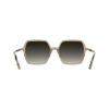 Picture of Lacoste Sunglasses L6079S