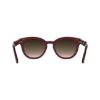 Picture of Lacoste Sunglasses L6070S