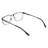 Picture of Flexon Eyeglasses E1163