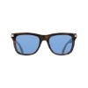 Picture of Salvatore Ferragamo Sunglasses SF2088S
