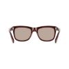 Picture of Salvatore Ferragamo Sunglasses SF2088S