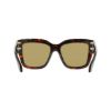 Picture of Salvatore Ferragamo Sunglasses SF2083SE