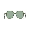 Picture of Salvatore Ferragamo Sunglasses SF2069SELB