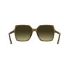 Picture of Calvin Klein Sunglasses CK25537S