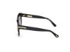 Picture of Tom Ford Icon Sunglasses FT1251