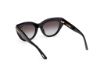 Picture of Tom Ford Icon Sunglasses FT1252