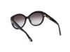 Picture of Tom Ford Icon Sunglasses FT1251