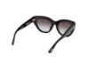 Picture of Tom Ford Icon Sunglasses FT1252
