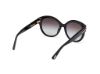Picture of Tom Ford Icon Sunglasses FT1251