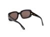 Picture of Tom Ford Icon Sunglasses FT1253