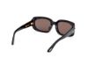 Picture of Tom Ford Icon Sunglasses FT1253-F