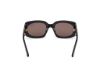 Picture of Tom Ford Icon Sunglasses FT1253