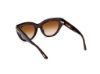 Picture of Tom Ford Icon Sunglasses FT1252
