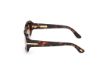 Picture of Tom Ford Icon Sunglasses FT1253-F