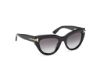 Picture of Tom Ford Icon Sunglasses FT1252