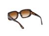 Picture of Tom Ford Icon Sunglasses FT1253-F