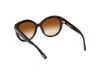 Picture of Tom Ford Icon Sunglasses FT1251