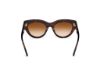 Picture of Tom Ford Icon Sunglasses FT1252