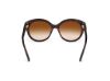 Picture of Tom Ford Icon Sunglasses FT1251