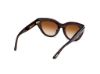 Picture of Tom Ford Icon Sunglasses FT1252