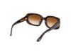 Picture of Tom Ford Icon Sunglasses FT1253-F