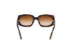 Picture of Tom Ford Icon Sunglasses FT1253