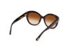 Picture of Tom Ford Icon Sunglasses FT1251