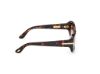 Picture of Tom Ford Icon Sunglasses FT1253-F