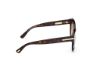 Picture of Tom Ford Icon Sunglasses FT1251