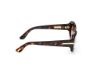 Picture of Tom Ford Icon Sunglasses FT1253