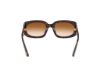 Picture of Tom Ford Icon Sunglasses FT1253-F