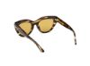Picture of Tom Ford Icon Sunglasses FT1252