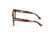 Picture of Tom Ford Icon Sunglasses FT1251
