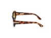 Picture of Tom Ford Icon Sunglasses FT1253