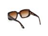 Picture of Tom Ford Icon Sunglasses FT1253