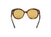 Picture of Tom Ford Icon Sunglasses FT1251