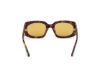 Picture of Tom Ford Icon Sunglasses FT1253