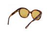 Picture of Tom Ford Icon Sunglasses FT1251