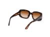 Picture of Tom Ford Icon Sunglasses FT1253