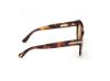 Picture of Tom Ford Icon Sunglasses FT1251