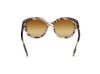 Picture of Tom Ford Icon Sunglasses FT1251