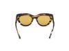 Picture of Tom Ford Icon Sunglasses FT1252