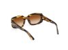 Picture of Tom Ford Icon Sunglasses FT1253