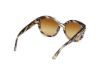 Picture of Tom Ford Icon Sunglasses FT1251