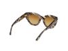 Picture of Tom Ford Icon Sunglasses FT1252