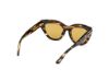 Picture of Tom Ford Icon Sunglasses FT1252