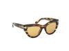 Picture of Tom Ford Icon Sunglasses FT1252