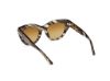 Picture of Tom Ford Icon Sunglasses FT1252