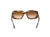 Picture of Tom Ford Icon Sunglasses FT1253