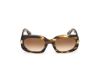 Picture of Tom Ford Icon Sunglasses FT1253